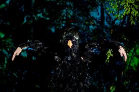 A film still of a person wearing a bird costume with black feathers and an orange beak, standing in a dark forest